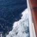 Immenso blu