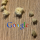 SEO für WordPress Breadcrumbs